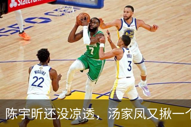 陈宇昕还没凉透，汤家凤又揪一个“精日”人员：竟然还是公司老板